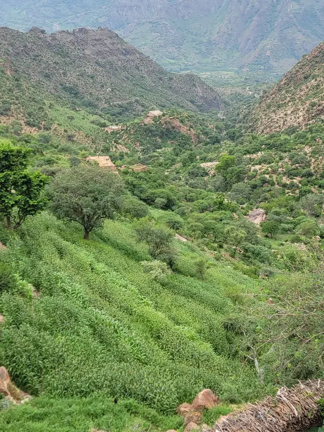 #💞💞💞 #مشاركه_اكسبلور_ولايك_ 