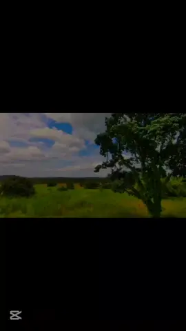 #قرآن 