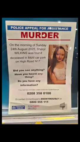Woman, found dead in car park man charged with murder + offences against second woman #mrhamlets 