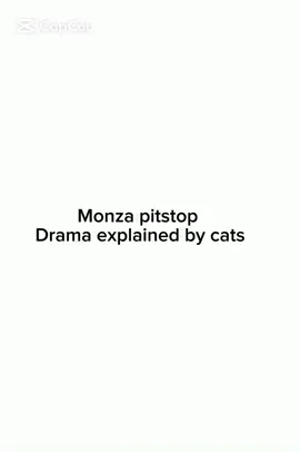 McLaren was a disaster 🫣 #landonorris #oscarpiastri #maxverstappen #mclarenf1 #funnyf1 
