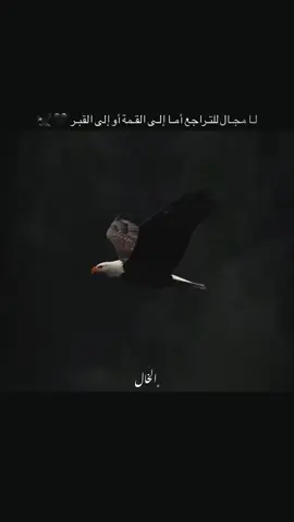 لـا مجـال للتـراجع أمـا إلـى القـمة أو إلى القبـر🖤🦅  #ستوريات #اكبسلور #عباراتكم_الفخمه📿📌 #الخـالtmx #ترند_تيك_توك
