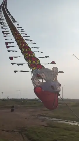 inpo angen @𝘽𝘼𝙎𝙍𝙀𝙉𝙂💫 @MENUSO_EDAN94 @rkaprstya9 @mpek_racing @エルファリア 🗡 @relzz_799 #layangan #kopdarlayanglayang #pati24jam #layangannaga #pulauseprapatjuwana 