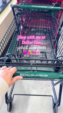 Dollar Tree and pink just go together 🎀🩷🛍️✨ #dollartree #dollartreehaul #dollartreefinds #pinkaesthetic #girlyshopping 