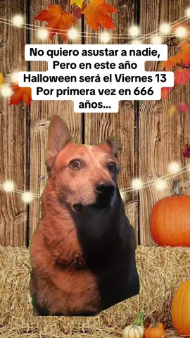 #facts #halloween #fyp #parati #trending 