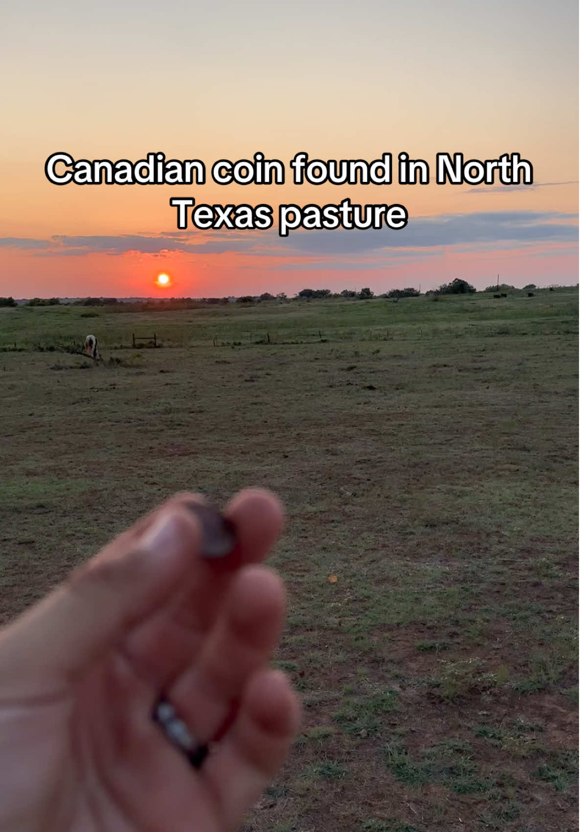 No idea where it came from, my Canadian buddy says it’s a rare coin they don’t make anymore #canada #canadian #texas #rarecoin #artifact 