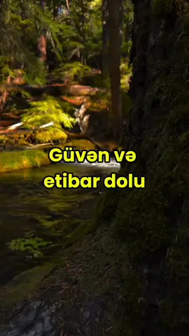 meşədə dəniz ❤😍