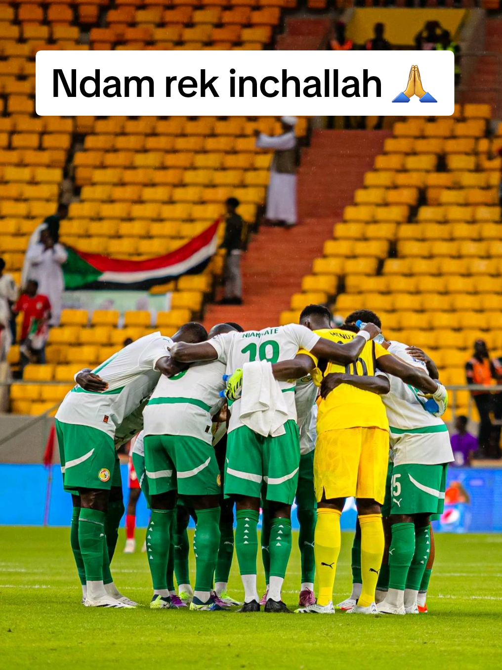 allez les Lions de la téranga 🦁👑❤🇸🇳 victoire obligatoire 😈+3pts  le meilleur sélection de l'Afrique🤌🇸🇳❤#senegal #2025 #videoviraltiktok #fyp #footballtiktok 