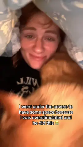 Never a moment alone with this cat #cat #catsoftiktok #orangecat 