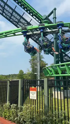 Some updates and a day at Dollywood #dayinmylife #toddlermom #motherhood #momlife 