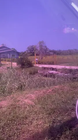 #fypシ゚viral🖤tiktok☆♡🦋myvideo #brazil🇧🇷 #surinametiktokers🇸🇷🇸🇷🇸🇷 #leguana🦎