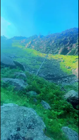 #foryoupage❤️❤️ #foryou #foryour #fyyyyyyyyyyyyyyyy #Viral 