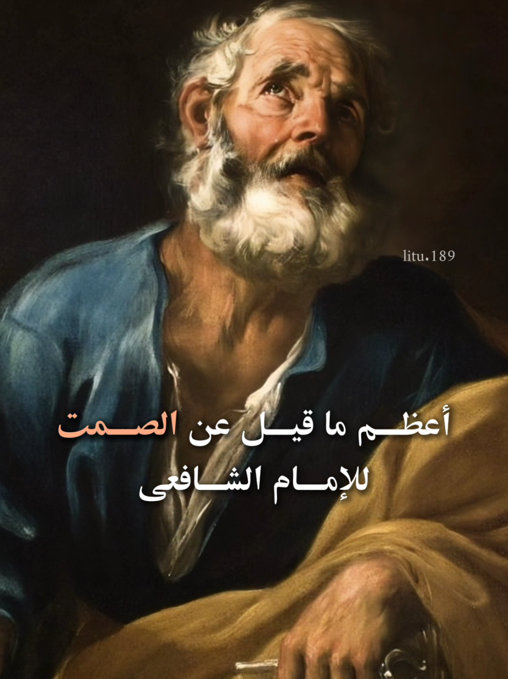 قالوا سكتت وقد خُوصِمتَ قُلت لهم ✍️🎙️! - الامام الشافعي - #fyp #capcut  #شعر #تصميمي #الشعب_الصيني_ماله_حل😂😂 