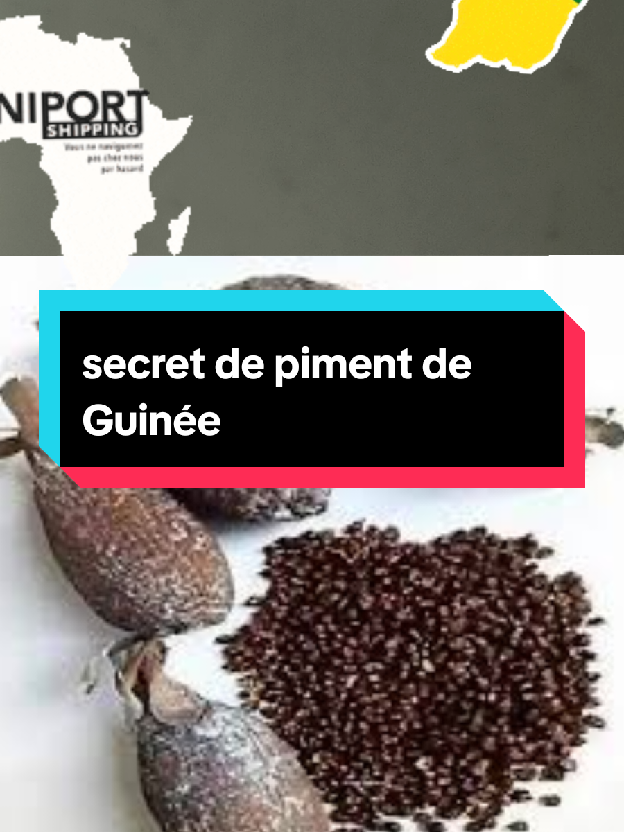 #pimentdeguinée #protection #talisman #voyage 