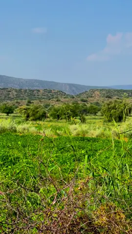 #damsazmarwat #song #1millionviews #video #viral @GURGURILOFAR.1 @N A T U  R E ☔🦋 @خا موش خٹک 💔 @Tariqnawazkhattakkpk @⚔️711_SAbirkhel⚔️ @Hameed ۔۔ullah..khattak 🇧🇫 