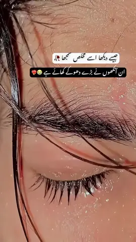 #fpyシ❥tiktok🖤🌹 #viral #🥰🥰🥰🥰🥰🥰🥰 #viralvediotiktok #foryoupageofficiall 