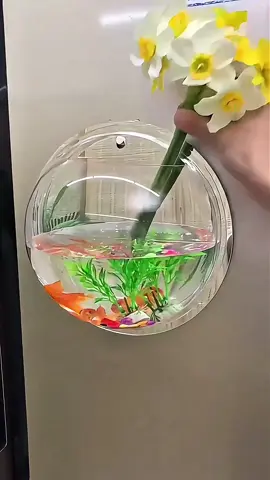 Aquário de parede link na bio  https://s.shopee.com.br/7AU2Q4wkyI #aquario #decoracao #aquariodeparede #achadinhos #shopeebrasil 
