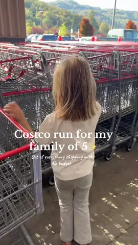 This weeks Costco haul!😮‍💨🛍️ #costco #costcofinds #shopping #groceryshopping #groceryhaul 