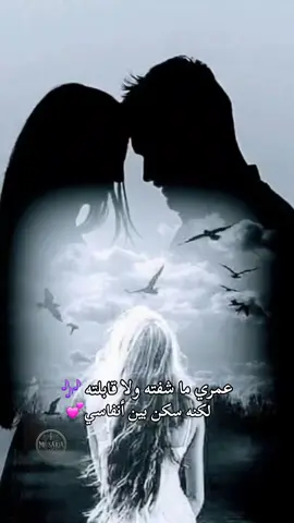 #في_يوم_وليلة  #وردة_الجزائريه  #عمري_ما_شفته_ولا_قابلته  #طربيات_الزمن_الجميل_🎼🎶🎻♥️🌹  #اغاني_حب 