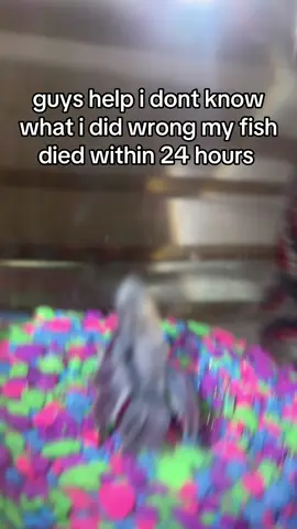 can we please have a moment of silence for Spike 