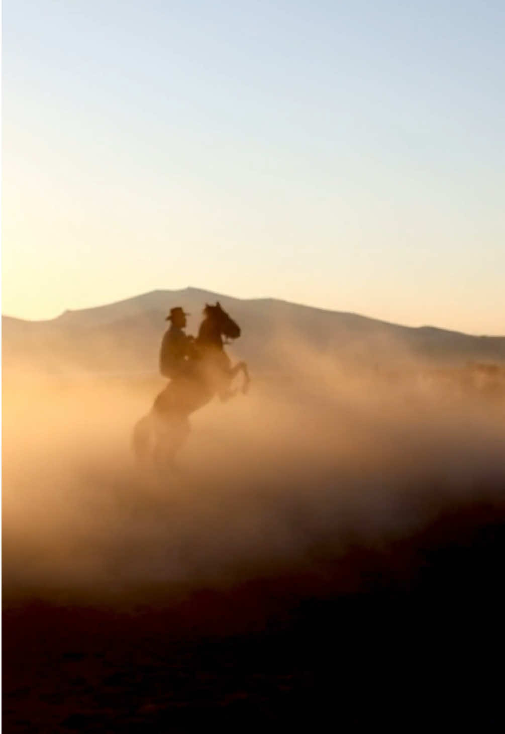 In the desert you can remember your name 🌵🏜️☀️🐎 #ahorsewithnoname #slowedsongs #slowedaudios #slowedandreverb #1970smusic 