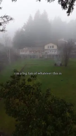 👇 Booking Details 📍Gig Harbor, WA Share this with your favorite people now and plan your next getaway here 🌿✨ 🌐 Book now to create your next unforgettable memory. Link in bio! (Save $100 on your first stay.)  🏡: Harbor Serenity by Riveria Stays 📸: @HannahandKord  . . . #washington #cabininthewoods #cabinvibes #fallgetaway #pnwvibes 