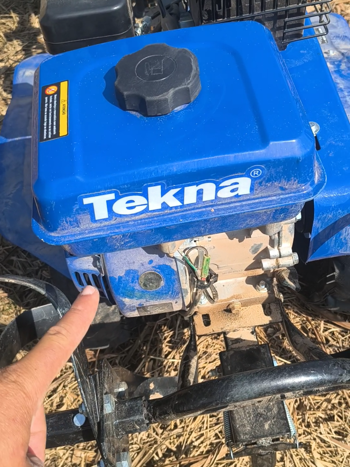 esse é bruto #mesegue #VozDosCriadores #tekna #motocultivador #sitio 