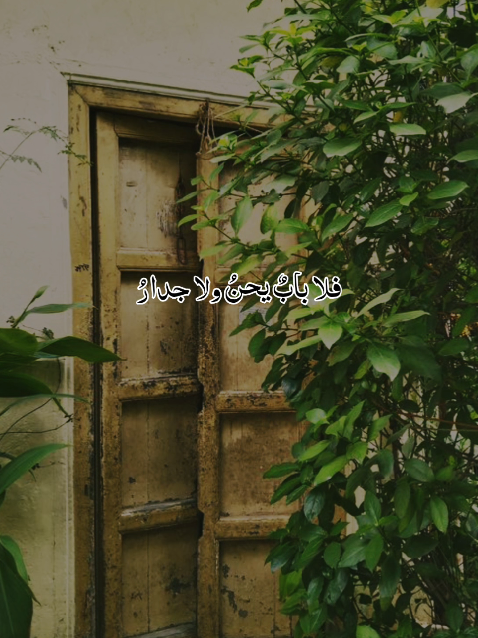أمرُ على الديارِ ولستُ أدري🥹 #مؤثر #foryoupage #أكسبلور #لايك__explore___ #viraltiktok @🥀نٌےـسًےـمِےـة هےـِدُوُء🌹 @🌹نٌےـسًےـمِےـة هےـِدُوُء🌹(2) @🥀نٌےـسًےـمِےـة هےـِدُوُء🌹 @🌹نٌےـسًےـمِےـة هےـِدُوُء🌹(2) @أصيل الأشعري🎙️ @قرآن/ Qur'an 