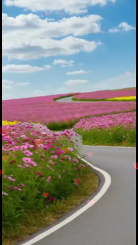#subhanallah❤️ #mashaallah ❤️#foryou #viral_video #trendingvideostiktok2025 