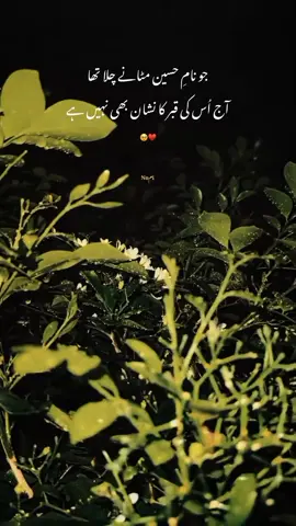 بیشک🫠#foryou #foryoupag 