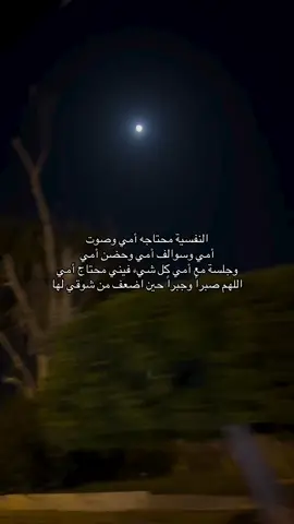 كانت أمي جميله جدًا لدرجة ان الارض عجزت عن حملها فـ خبأتها بداخلها 