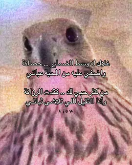 #fyp #4u  #شعر #قصيد #يوسف_ذاير 