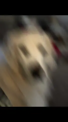 Sir Cooper White Quaye…he is cute…and so vicious 😂!  #viciousdog #whitedog #englishcreamgoldenretriever #meandoglife #goldenretrieverlife 