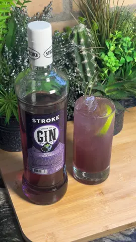 AMORA VERÃO  Você vai precisar de:  -  Gelo - Rodela de limão  - 60ml de Gin  Stroke sabor ROYALE DARK BERRY @strokebebidas  - 15 ml de Xarope de Amora  - Complete com Schweppes citrus Já marca o amigo (a) que ama um Gin  🍹 Me SIGA para mais receitas! #drinks #receita #drink #receitasimples #receitas
