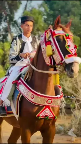 #خيل_وخياله🐎 #ابوالقوادر❤️‍🔥❤️‍🔥 #CapCut #صبراته_الكبيده💕💕🔥 #مشاهير_تيك_توك 