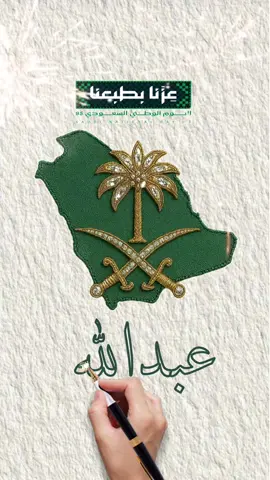 الرد على @خالة ركون #عبدالله #مشاهير_العرب #يوم_الوطني💚💚🇸🇦 #كل_عام_وحنا_بأول_الصفوف🇸🇦🇸🇦 