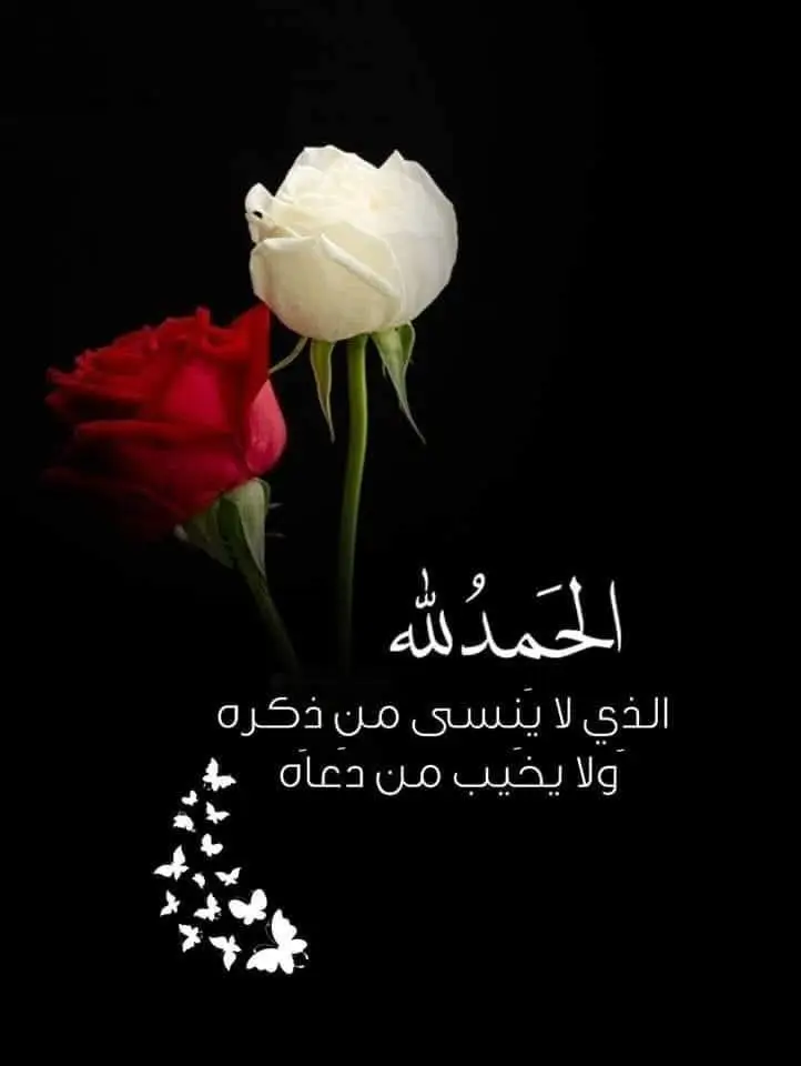 #تصميم_فيديوهات🎶🎤🎬 #مشاهير_تيك_توك #الديوانيهہ🥺🌿💗 #المهناويه🤍🤞 