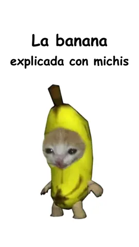 La banana explicada con michis