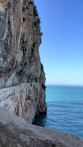 #اكسبلور #fyp #alger #شعب_الصيني_ماله_حل3 #algeria 