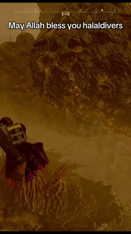 For the future of halaldivers and democracy  . . . #foryou #foryoupage #fypシ #helldivers2 