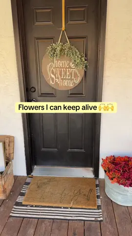 Tik tok shop for the win 