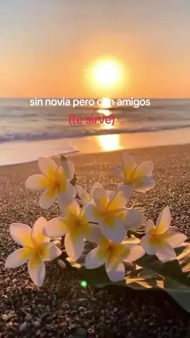 #LIVEIncentiveProgram #MyLIVEJourney #PaidPartnership 