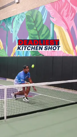 Deadliest kitchen line shot in pickleball ☠️ #pickelball #pickleballislife #pickleballaddict