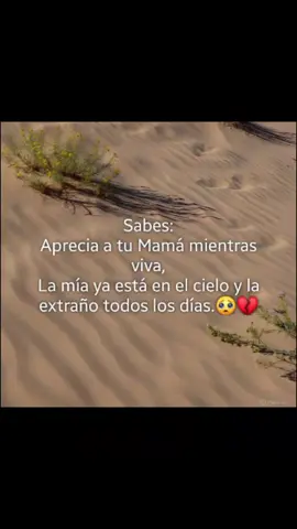 Todo era diferente realidad cuando estabas tú Mamá 💔🥺 Te extraño tanto 😔💔