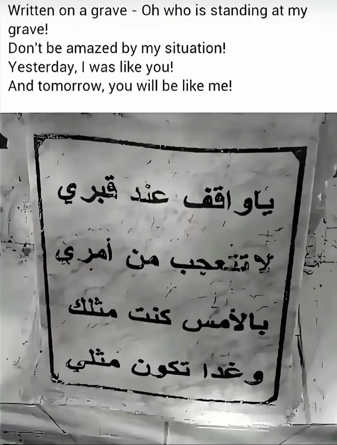 #CapCut مكتوب على قبر - يا من يقف عند قبري! لا تتعجب من حالي! بالأمس كنت مثلك! وغدًا ستكون مثلي!@آبو سـند 🦅 @ســـومـا 🤎✔ @مغلق @مصطفى :-$(^_-)💥❤️‍🔥👾 @كريس @:ڪـࢪاࢪ// 𝓚𝓡𝓐𝓡 @.𝐬 𝐤 𝐨 🕸️ @ヾ(˙❥˙)ﾉايبو @[صَّـوٌٍْفَّـِيُِٓ🇮🇶] @✧*̣̩☽⋆ عبودي الساهر ⋆☾*̣̩✧🏴 @❤️محمود ال محمد❤️ @¹↻:˼ ♯̶ايـسـكـو🔥🦅 @👑 @حمزة ادهام🪐 @زيــدو 💙׀𝐙𝐀𝐈𝐃𝐎 @الــمـهـيب 