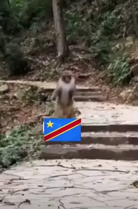 ##🇸🇳🇸🇳🇸🇳🇸🇳🇸🇳🇸🇳🇸🇳🇸🇳🇸🇳🇸🇳🇸🇳🇸🇳🇸🇳🇸🇳🇸🇳🇸🇳🇸🇳🇸🇳🇸🇳🇸🇳🇸🇳🇸🇳 