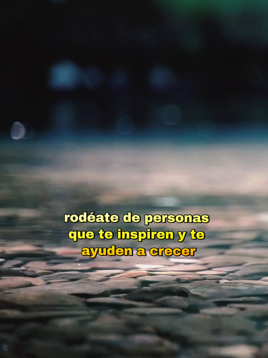 #viralvideos #viraltiktokvideo #fyp #viraltiktok #videosvirales 