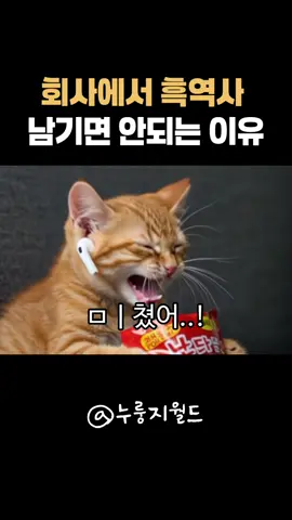 회사에서 흑역사 남기면 안되는 이유