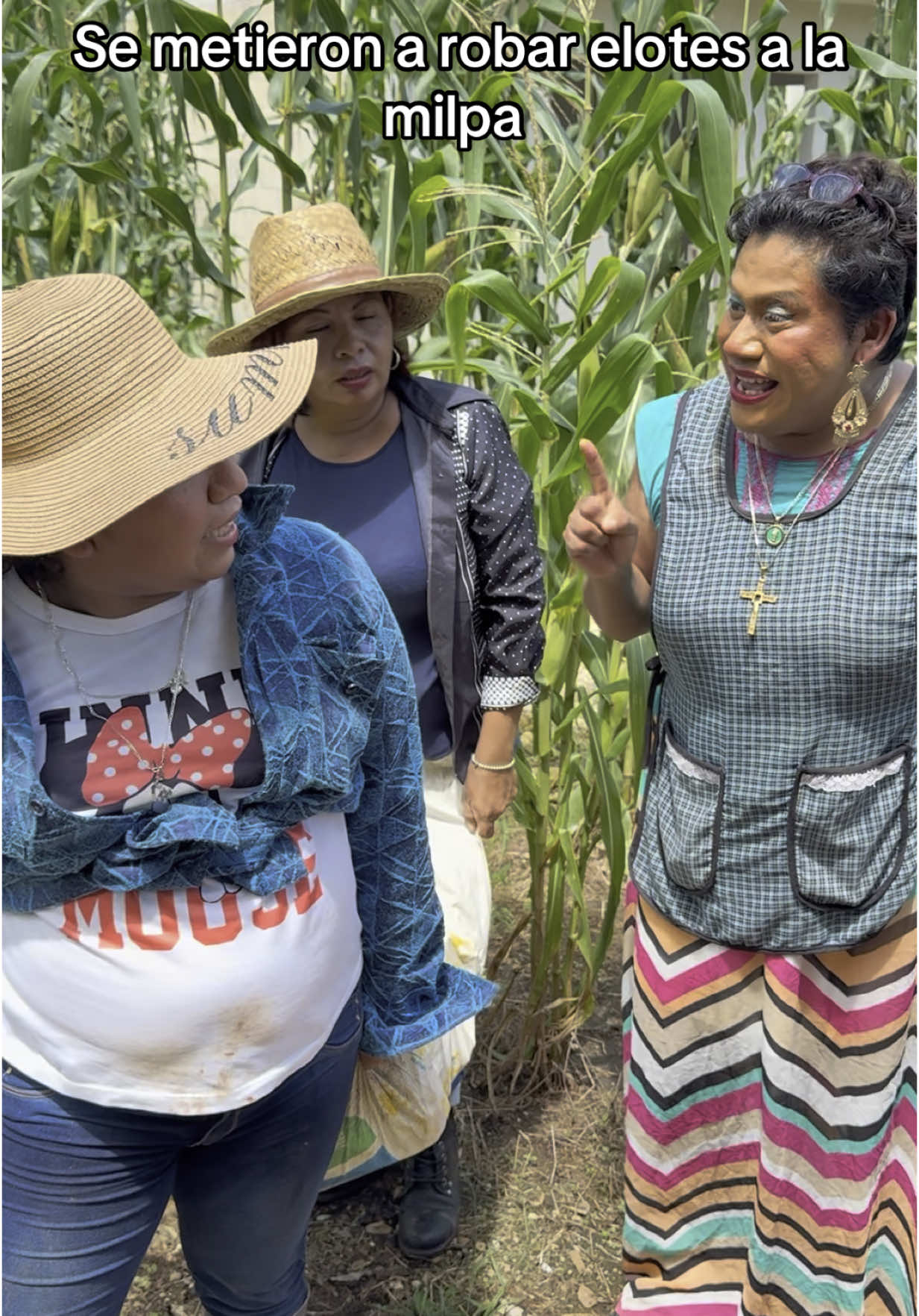 Se metieron a robar elotes a la milpa #doñacataydominga #doñacata #comedia 