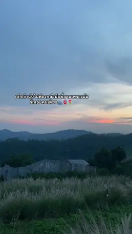 #สตอรี่ม้ง🦋✨ #แธรดม้ง🥀🤍 #สตอรี่_ความรู้สึก😔🖤🥀 #เพลงม้ง 