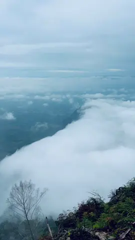 i like this view✨🤍#ponteoa #gunungponteoa #746mdpl #lautanawan #fyp 